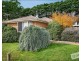 55 St Boswells Ave, Berwick VIC 3806