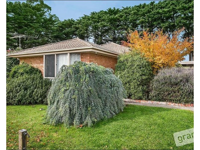 55 St Boswells Ave, Berwick VIC 3806