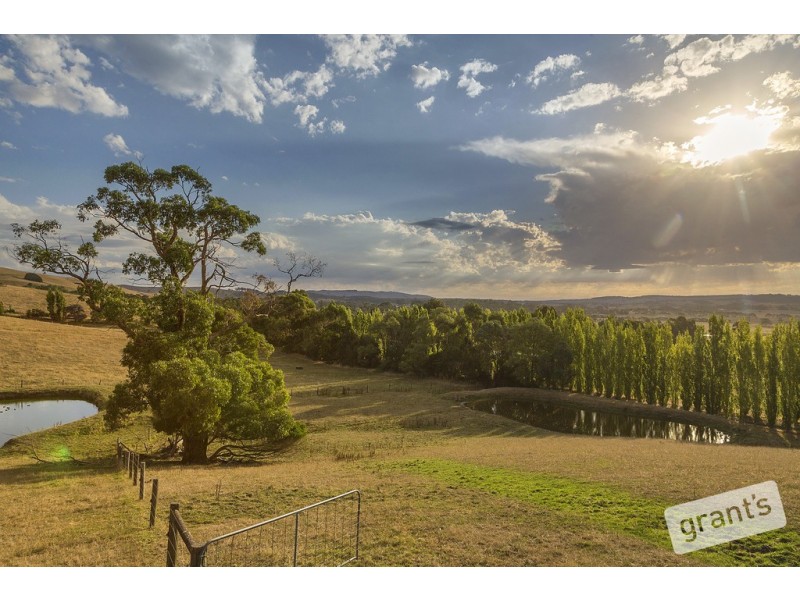 31 Collins Road, Loch VIC 3945