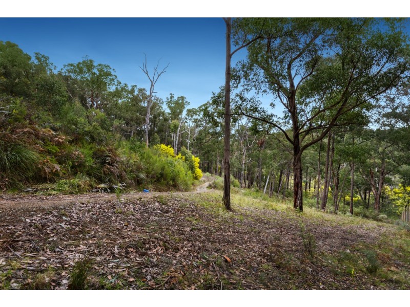 41 Borchardt Street, Guys Hill VIC 3807