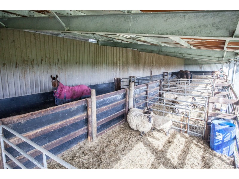 10 Reserve Road, Yarragon VIC 3823