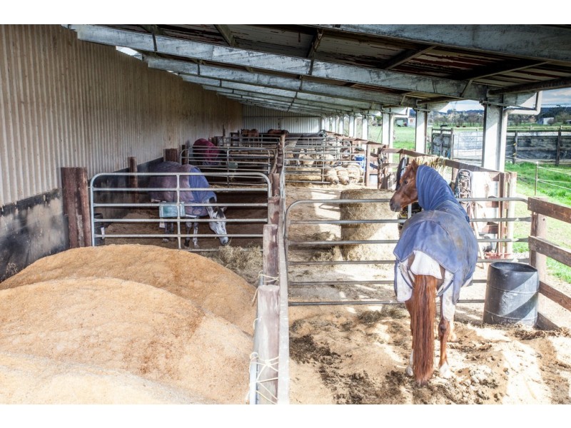 10 Reserve Road, Yarragon VIC 3823