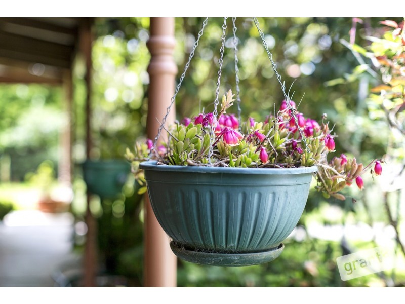 5 Kemp Crescent, Somerville VIC 3912