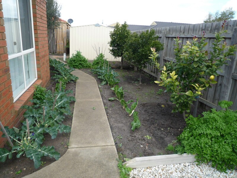 7 Glenisla Way, Berwick VIC 3806