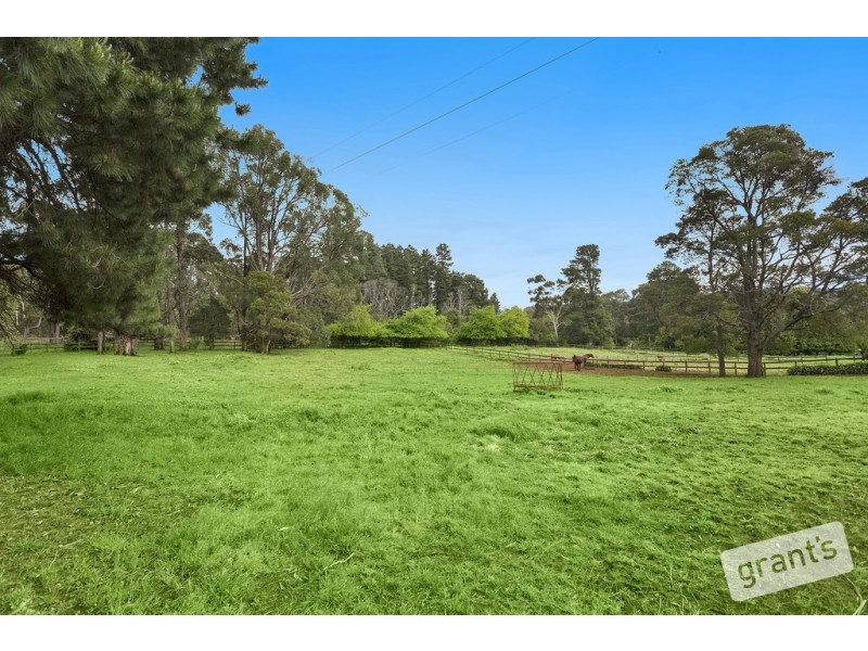 840 Gembrook-Launching Place Road, Hoddles Creek VIC 3139