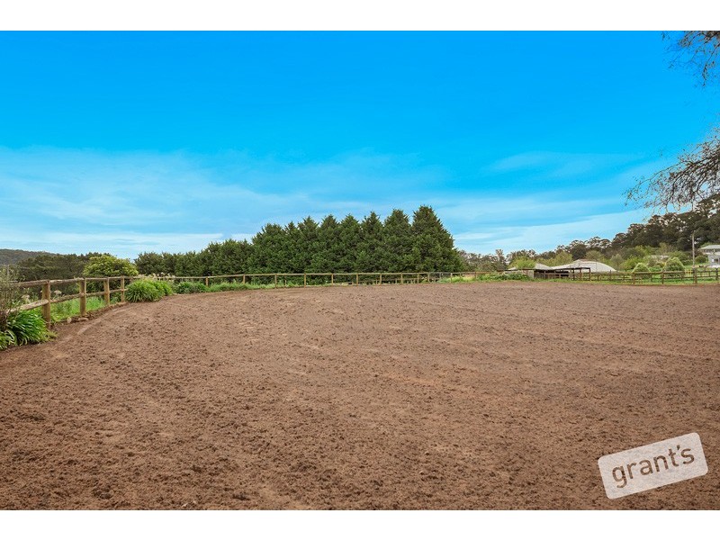 840 Gembrook-Launching Place Road, Hoddles Creek VIC 3139