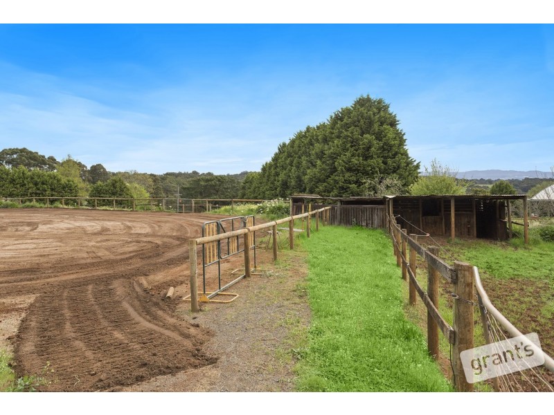 840 Gembrook-Launching Place Road, Hoddles Creek VIC 3139