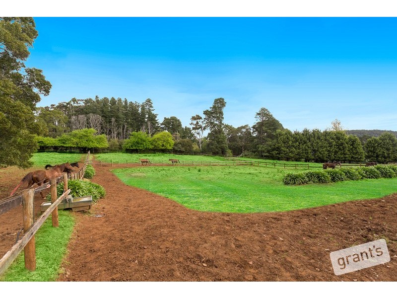 840 Gembrook-Launching Place Road, Hoddles Creek VIC 3139