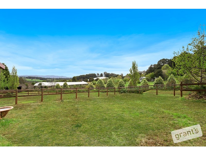 840 Gembrook-Launching Place Road, Hoddles Creek VIC 3139