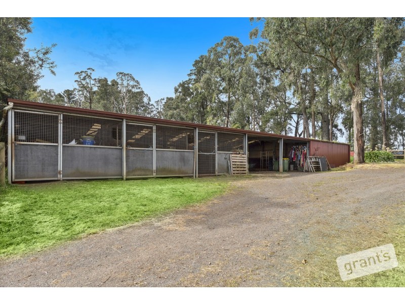 840 Gembrook-Launching Place Road, Hoddles Creek VIC 3139