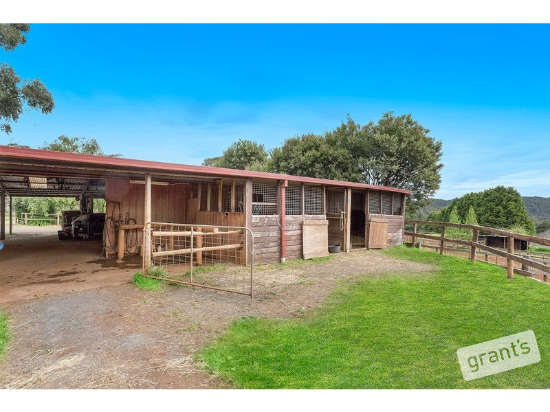 840 Gembrook-Launching Place Road, Hoddles Creek VIC 3139