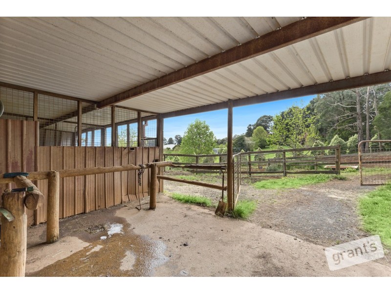 840 Gembrook-Launching Place Road, Hoddles Creek VIC 3139