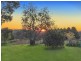 840 Gembrook-Launching Place Road, Hoddles Creek VIC 3139