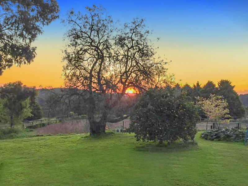 840 Gembrook-Launching Place Road, Hoddles Creek VIC 3139