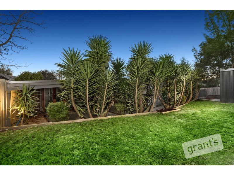 41 Cheviot Avenue, Berwick VIC 3806