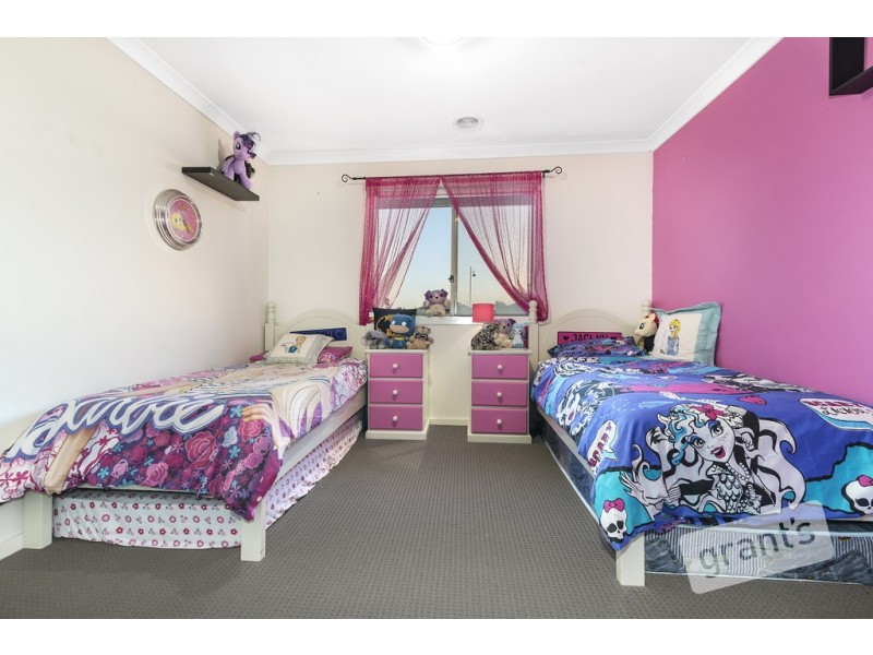 16 Bayley Place, Cranbourne VIC 3977