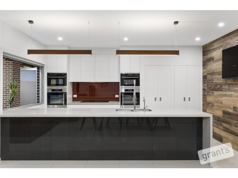 16 Carambola Place, Berwick VIC 3806