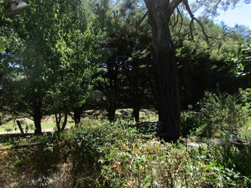 135 King Road, Harkaway VIC 3806