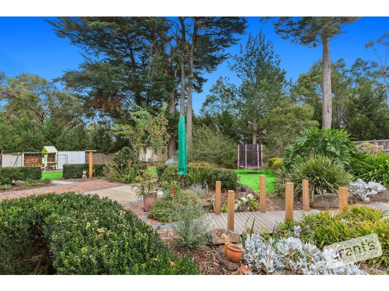 313 Harkaway Road, Narre Warren North VIC 3804