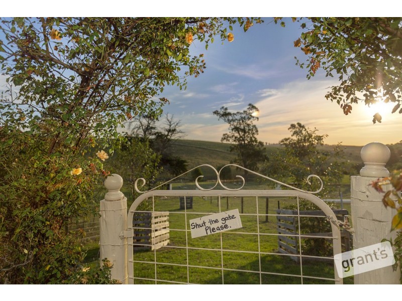 12 White Birch Close, Poowong VIC 3988