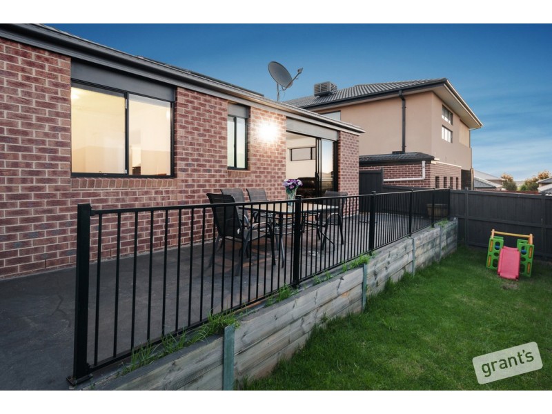 11 Carambola Place, Berwick VIC 3806
