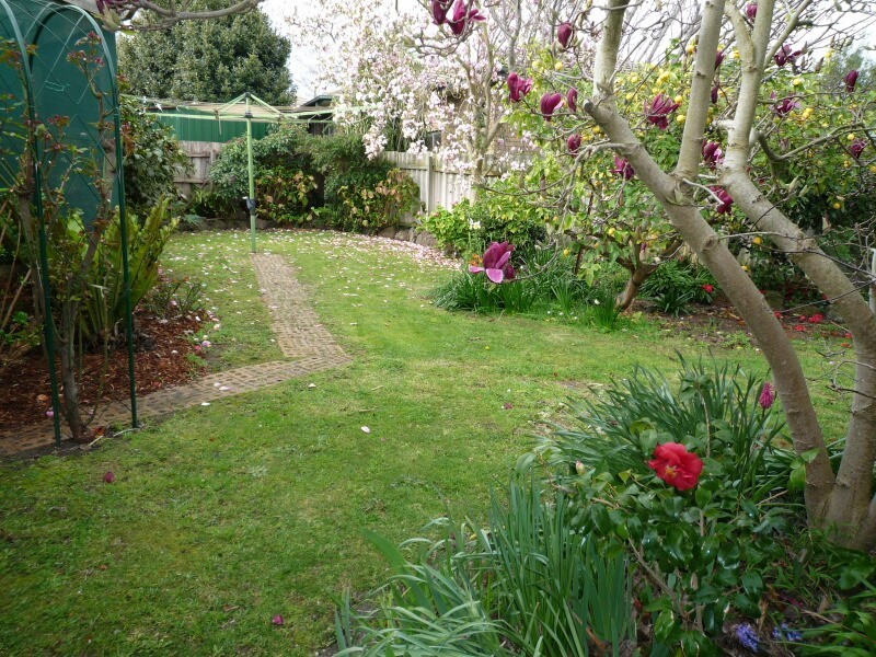 50 Lodge Crescent, Berwick VIC 3806