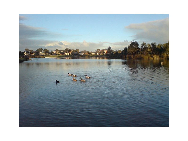 6 Cato Parkway, Lynbrook VIC 3975