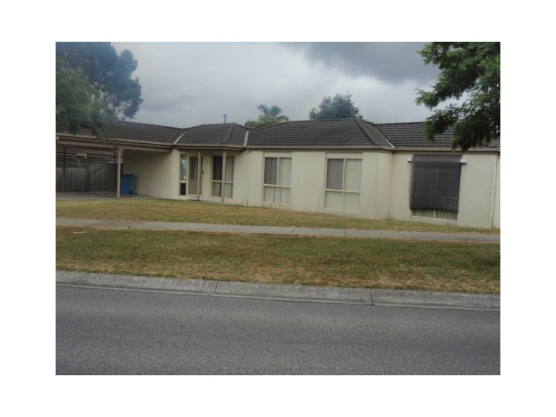 19 Bellevue Drive, Berwick VIC 3806