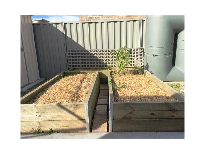 19 Southampton Drive, Langwarrin VIC 3910