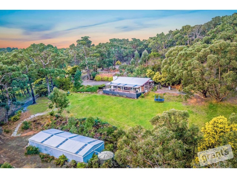 41 Borchardt Street, Guys Hill VIC 3807