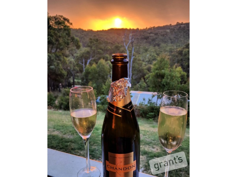 41 Borchardt Street, Guys Hill VIC 3807