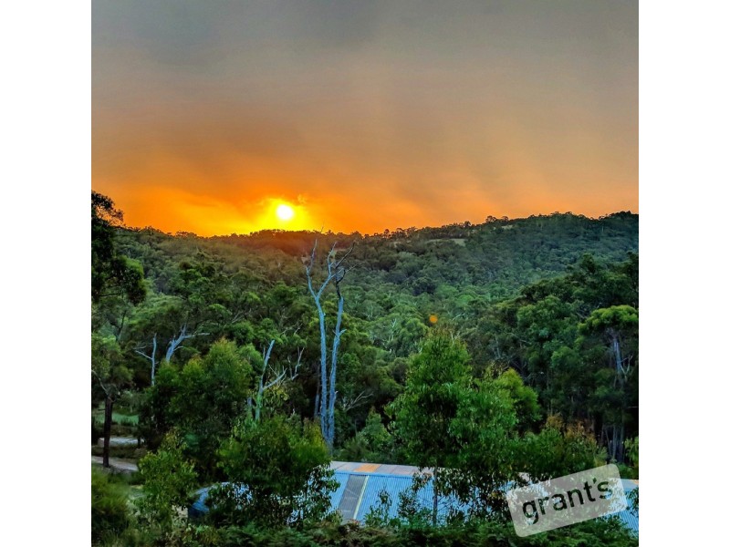 41 Borchardt Street, Guys Hill VIC 3807