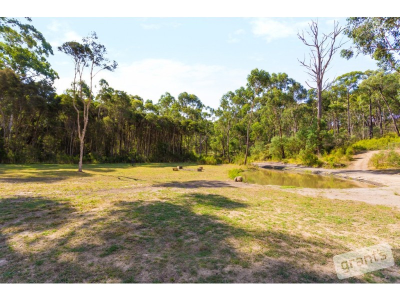 41 Borchardt Street, Guys Hill VIC 3807