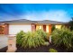 19 Dempster Way, Berwick VIC 3806