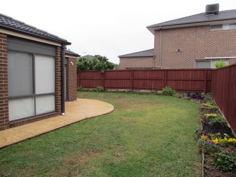 8 Norris Grove, Berwick VIC 3806