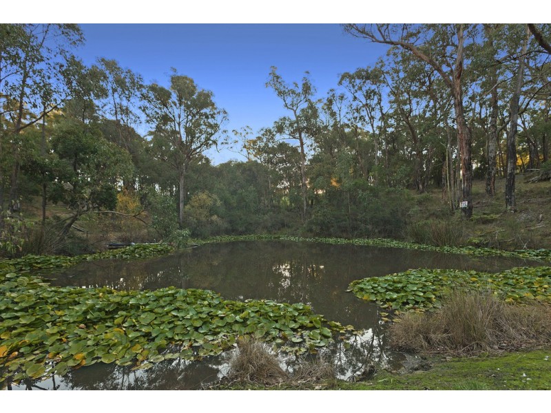 15 Hilden Drive, Harkaway VIC 3806