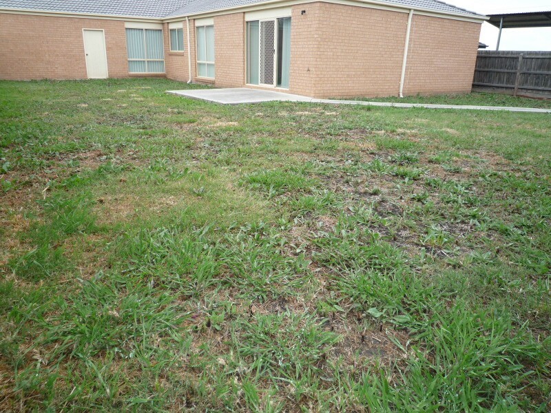 55 Bounty Way, Berwick VIC 3806