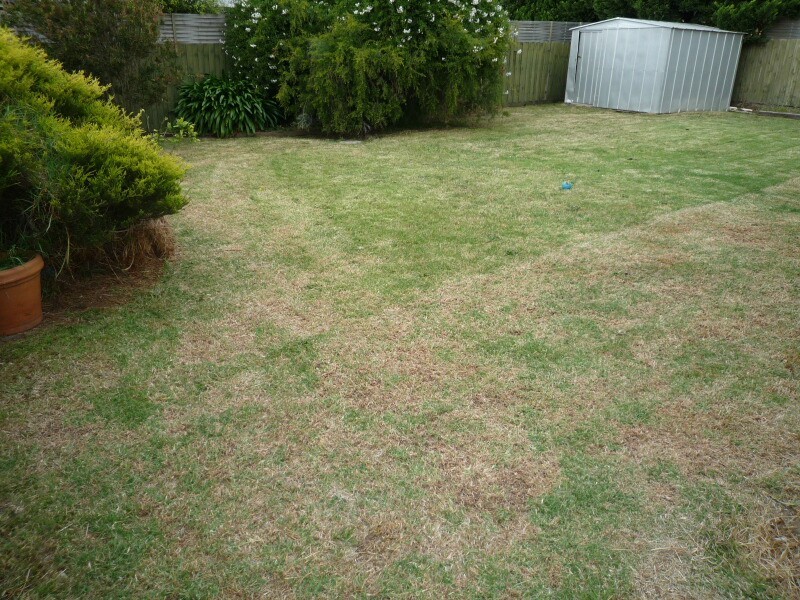 10 Homestead Road, Berwick VIC 3806