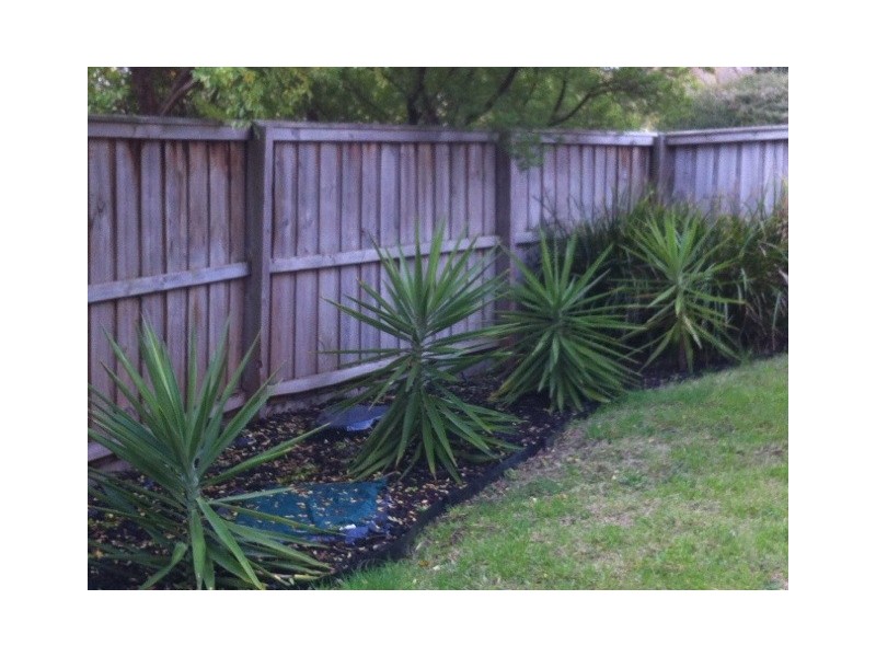 1/2-6 Jerilderie Drive, Berwick VIC 3806