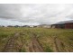 Lot 1002 (13) Cerbera Bend, Cranbourne North VIC 3977