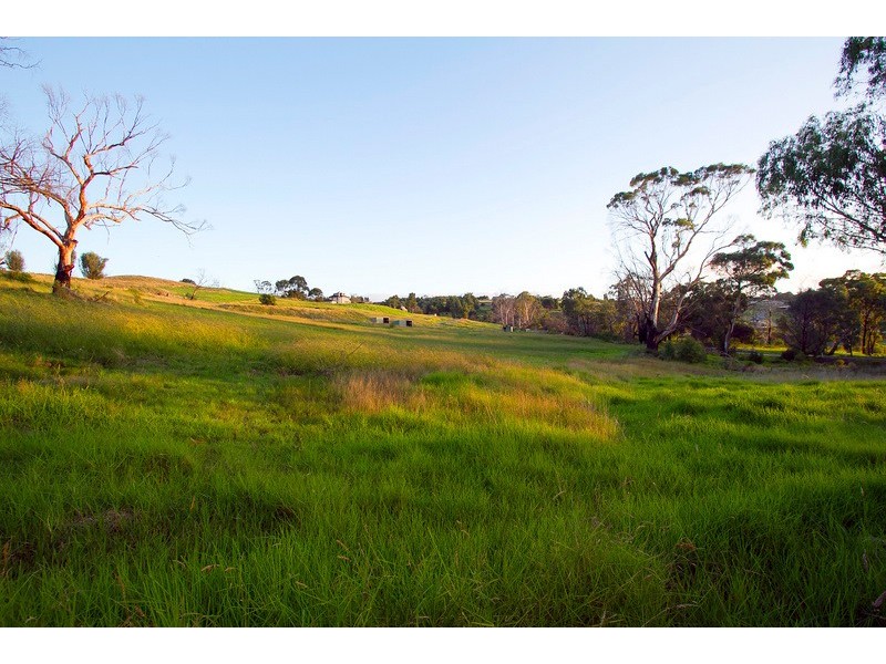 1-3 Halleur Road, Harkaway VIC 3806