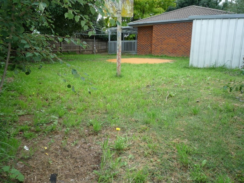 14 Ashfield Drive, Berwick VIC 3806