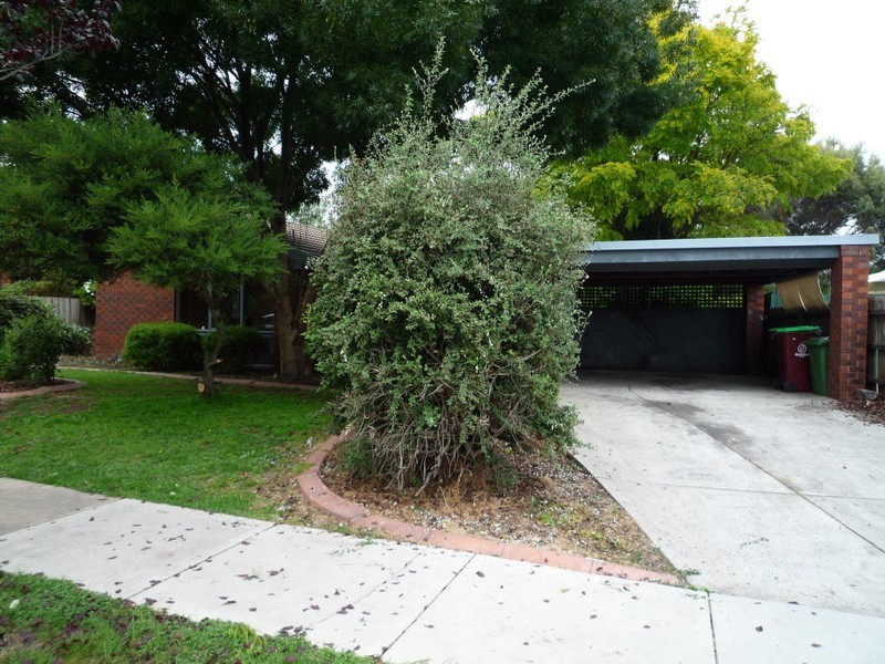 14 Ashfield Drive, Berwick VIC 3806