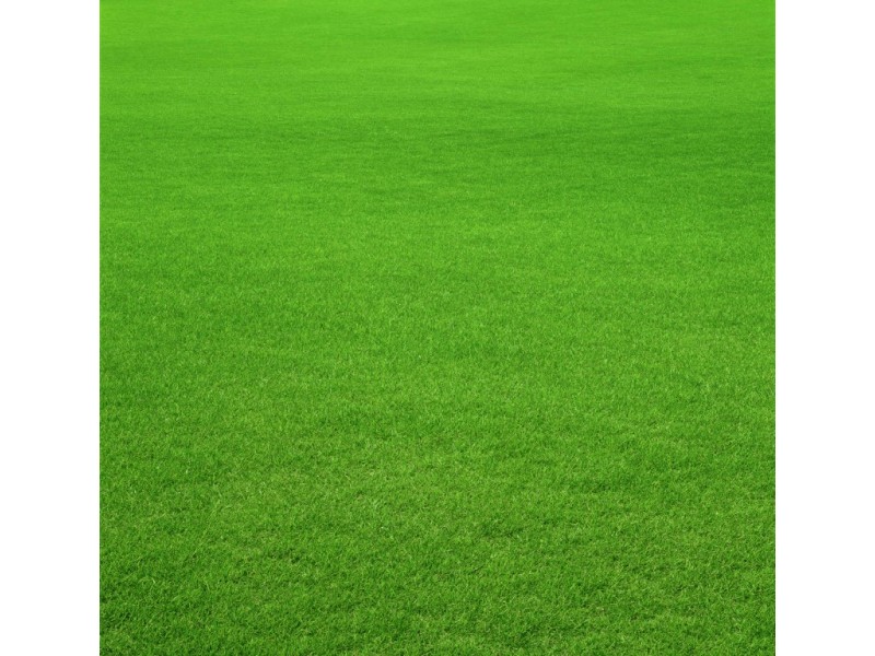 2 Bower Court, Berwick VIC 3806