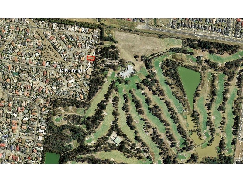 17 Fig Court, Cranbourne North VIC 3977