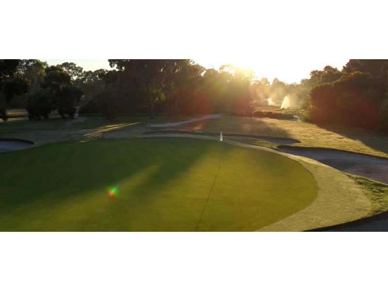 17 Fig Court, Cranbourne North VIC 3977