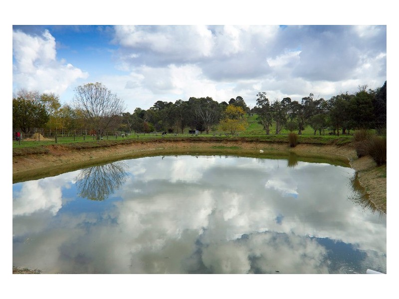 125 Quamby Road, Guys Hill VIC 3807
