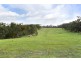 150 Old Menzies Creek Road, Belgrave South VIC 3160