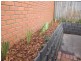 15 Wimmera Court, Berwick VIC 3806