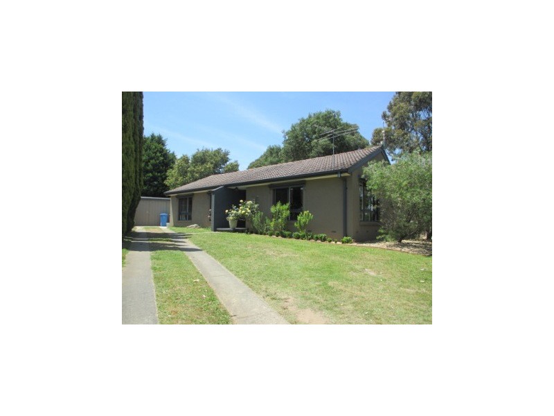 17 St Boswells Ave, Berwick VIC 3806